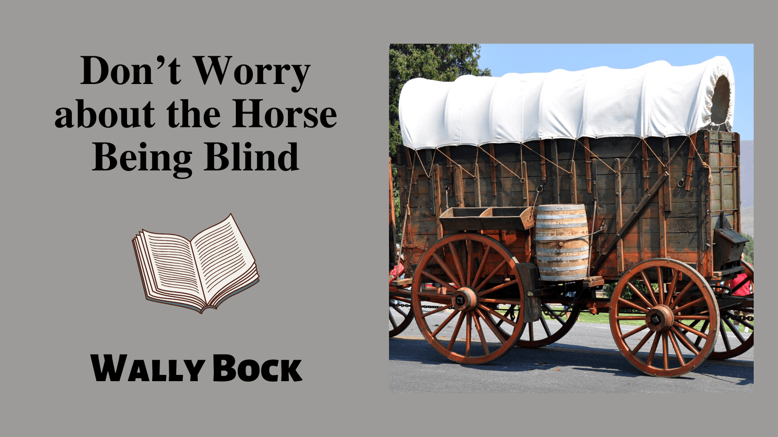 Don’t worry about the horse being blind