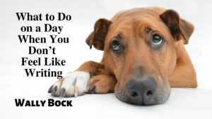 What to Do on a Day When You Don’t Feel Like Writing post image