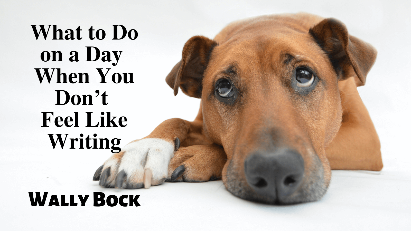 What to Do on a Day When You Don’t Feel Like Writing
