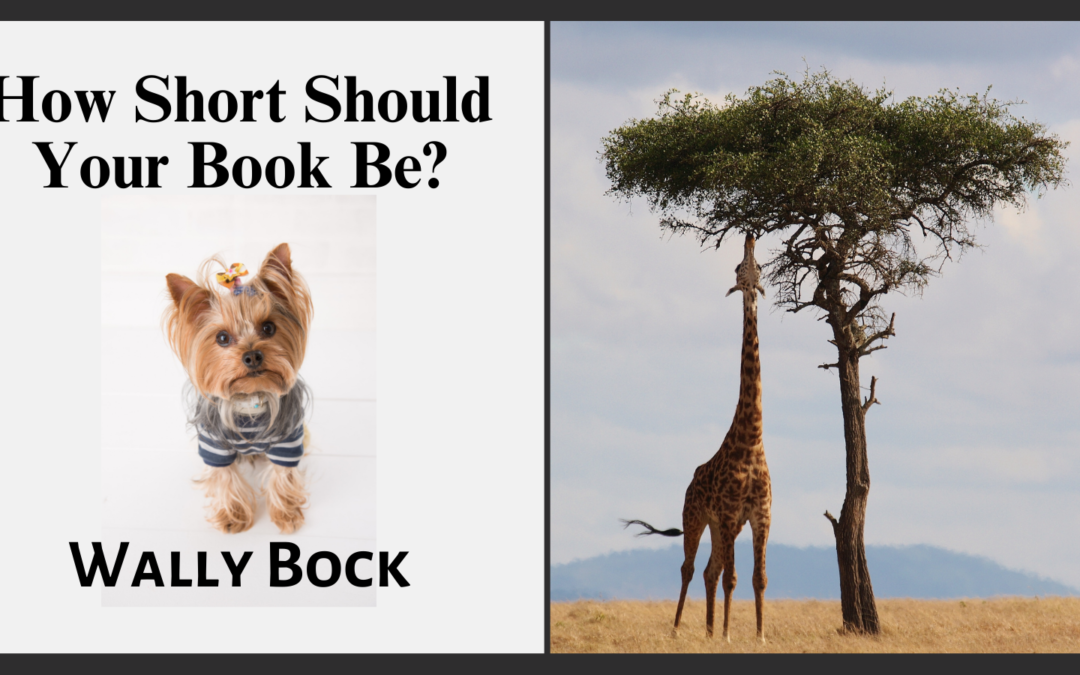 How short should your book be?